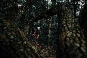 BIB: 
                            <button type="button" onclick="openModal(25677027)" class="btn btn-primary btn-sm float-right btn-popup" data-toggle="modal" data-target=".modal-high-quality">
                        <i class="fas fa-shopping-cart"></i> Add to Cart
                    </button>
                                            <button type="button" onclick="isThisMe(25677027, true)" class="btn btn-success btn-sm float-right btn-popup btn-isme hidden" data-toggle="tooltip" data-placement="bottom" title="นี่คือรูปของคุณใช่ไหม คลิกที่นี่เพื่อเอาเข้าอัลบั้ม">
                        <i class="fas fa-plus"></i> Add to album
                    </button>
                    <button type="button" onclick="isThisMe(25677027, false)" class="btn btn-warning btn-sm float-right btn-popup btn-isnotme hidden">
                        <i class="fas fa-ban"></i> Remove from album
                    </button>